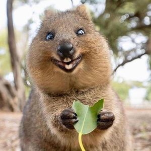 Meet your Posher, Jane